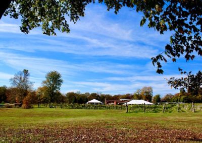 Villa Antonio Winery
